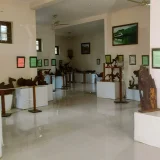 Bay Island Driftwood Museum Kottayam 